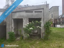 43500 - zdjęcie nr 3