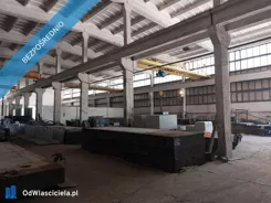 43449 - zdjęcie nr 1