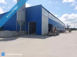 43449 - zdjęcie nr 3