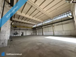 43517 - zdjęcie nr 0
