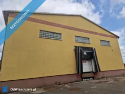 39457 - zdjęcie nr 4