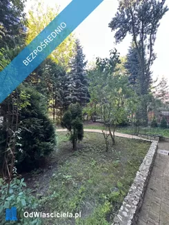 43118 - zdjęcie nr 4