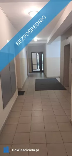 42532 - zdjęcie nr 1