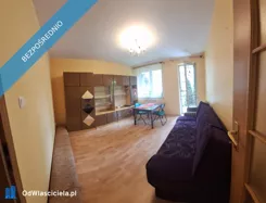 42532 - zdjęcie nr 4