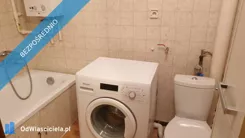 44375 - zdjęcie nr 2