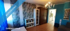 42560 - zdjęcie nr 0