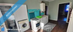 42560 - zdjęcie nr 3