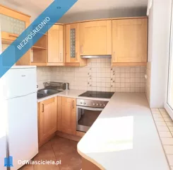 44104 - zdjęcie nr 3