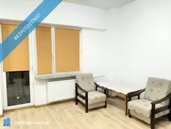 41629 - zdjęcie nr 3