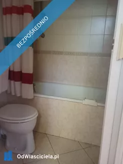 44573 - zdjęcie nr 3