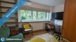 42565 - zdjęcie nr 3