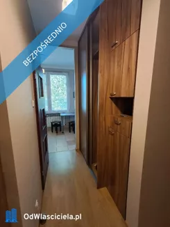 43919 - zdjęcie nr 3