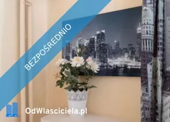 37429 - zdjęcie nr 1