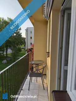 44429 - zdjęcie nr 0