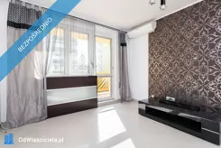 41573 - zdjęcie nr 3