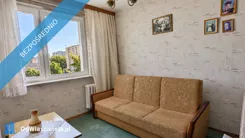 44393 - zdjęcie nr 3