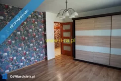 42679 - zdjęcie nr 3