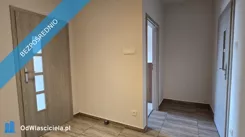 42470 - zdjęcie nr 2