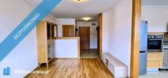 42396 - zdjęcie nr 3
