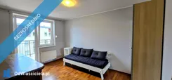 42396 - zdjęcie nr 4