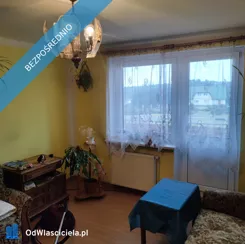 41608 - zdjęcie nr 1