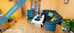 44387 - zdjęcie nr 0