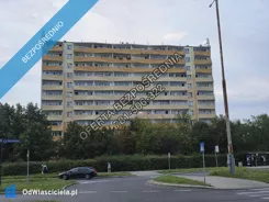 43811 - zdjęcie nr 1