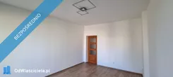 41571 - zdjęcie nr 1
