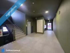 39053 - zdjęcie nr 4