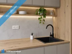 44547 - zdjęcie nr 1