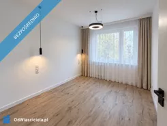 44547 - zdjęcie nr 4