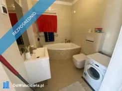43227 - zdjęcie nr 3