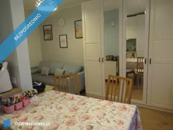 42737 - zdjęcie nr 2