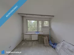 42703 - zdjęcie nr 0