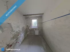 42703 - zdjęcie nr 1