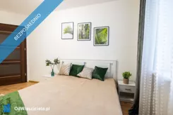 42811 - zdjęcie nr 4