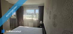 43279 - zdjęcie nr 0