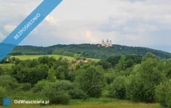 44234 - zdjęcie nr 2