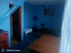 41751 - zdjęcie nr 1