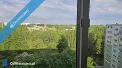 41847 - zdjęcie nr 4