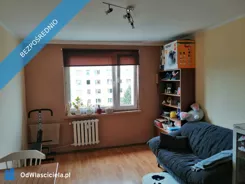 42269 - zdjęcie nr 2