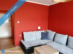 42269 - zdjęcie nr 3