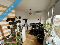 44554 - zdjęcie nr 2