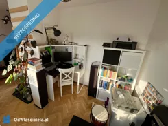 44554 - zdjęcie nr 3