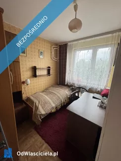 42032 - zdjęcie nr 1