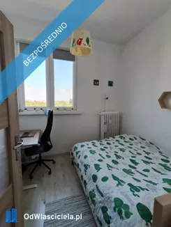 41825 - zdjęcie nr 3