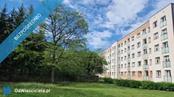 43745 - zdjęcie nr 0
