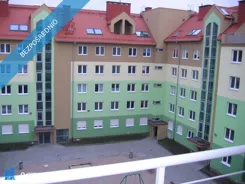 42291 - zdjęcie nr 3
