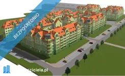 42291 - zdjęcie nr 4