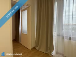 41661 - zdjęcie nr 3